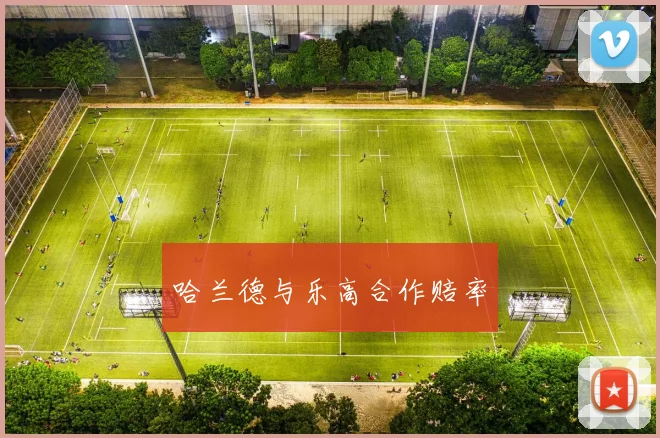 哈兰德与乐高合作赔率