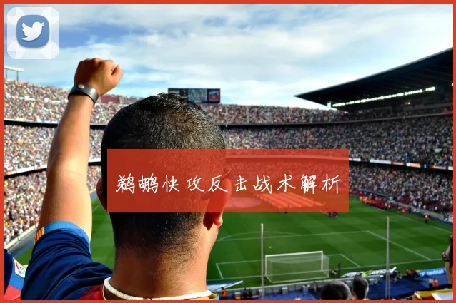 鹈鹕快攻反击战术解析