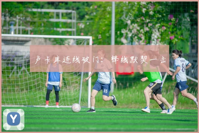 卢卡库连线破门：锋线默契一击