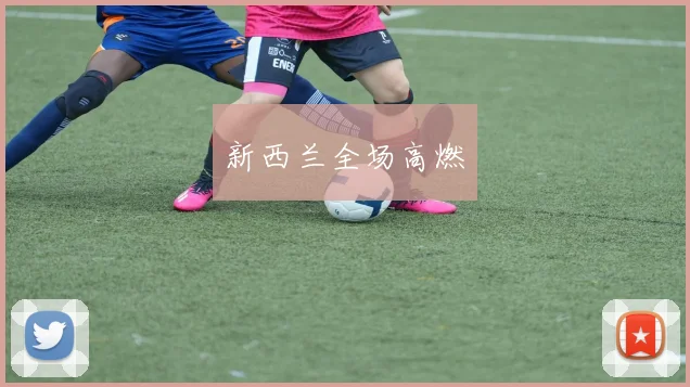 新西兰全场高燃