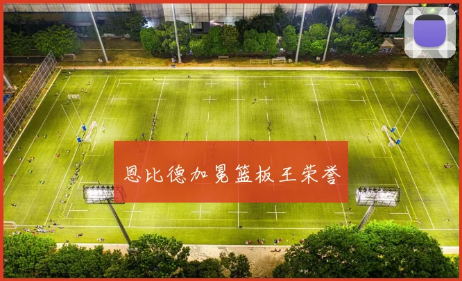 恩比德加冕篮板王荣誉
