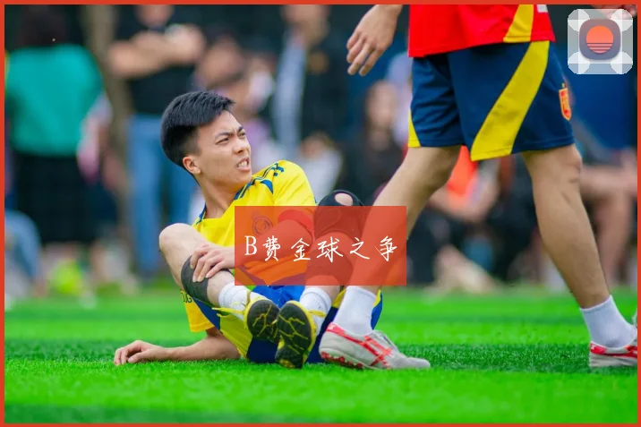 B费金球之争