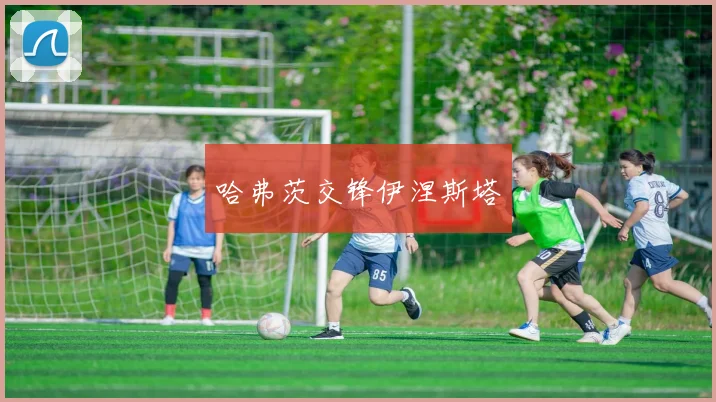 哈弗茨交锋伊涅斯塔