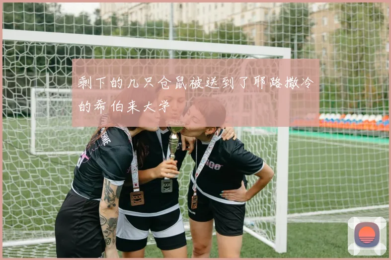 剩下的几只仓鼠被送到了耶路撒冷的希伯来大学