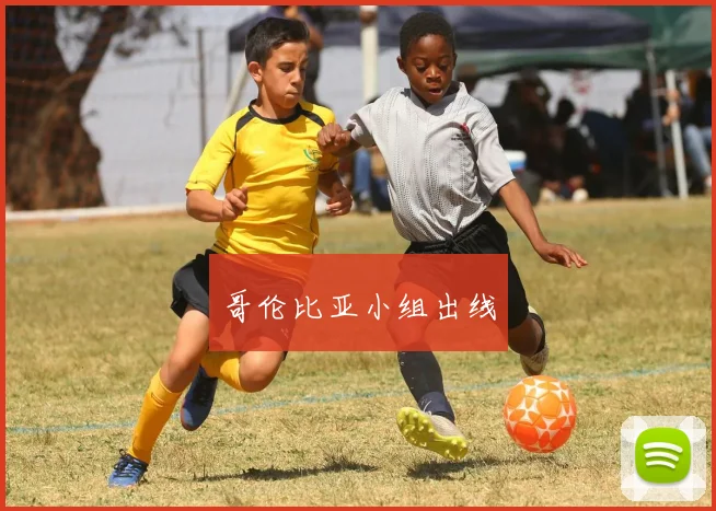 哥伦比亚小组出线