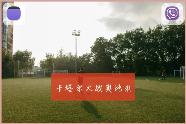 卡塔尔大战奥地利