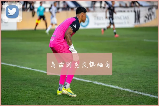 乌兹别克交锋缅甸