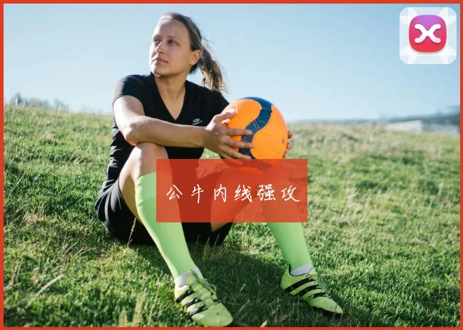 公牛内线强攻