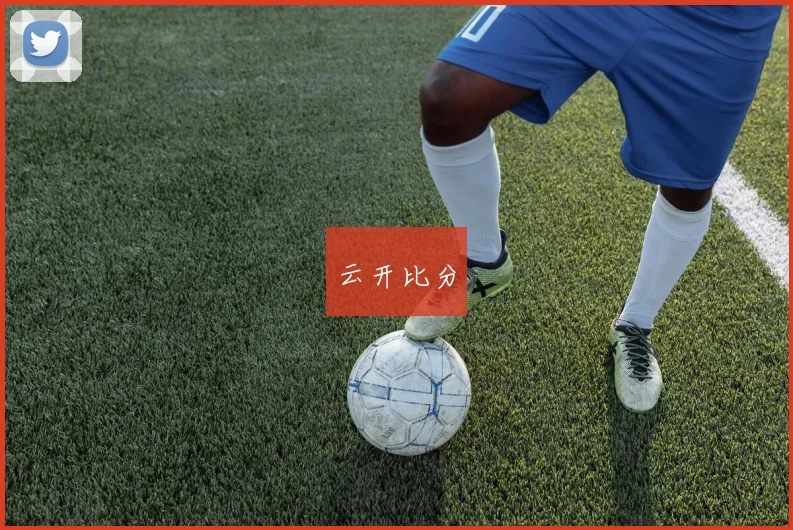 云开比分