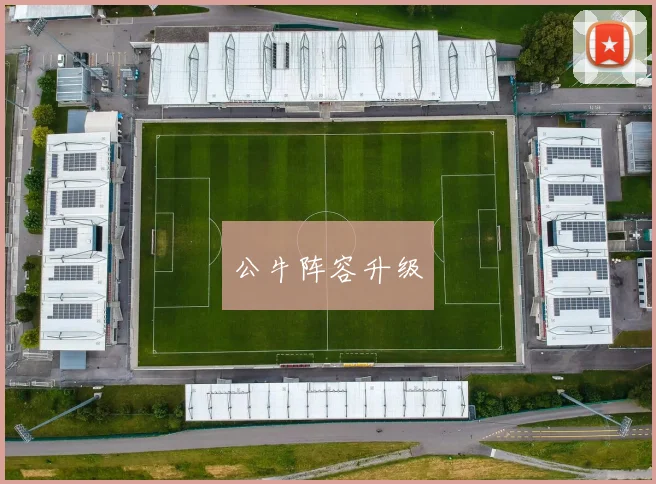 公牛阵容升级