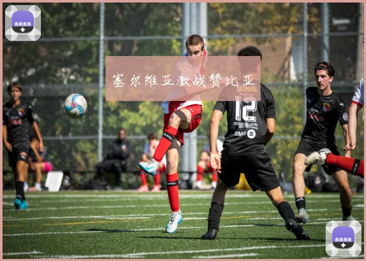 塞尔维亚激战赞比亚