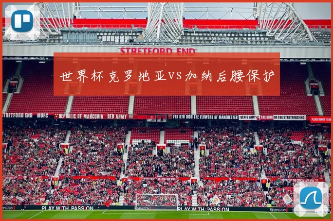 世界杯克罗地亚vs加纳后腰保护