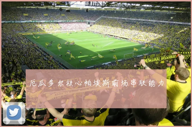 厄瓜多尔核心帕埃斯前场串联能力